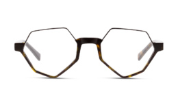 Calvin Klein Glasses and Sunglasses